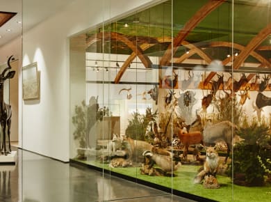 Hohenems, ARCHE NOAH – Sammlung Kunst & Natur