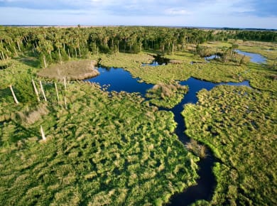 Homestead, FL, Everglades National Park