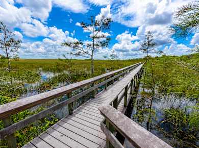 Homestead, FL, Pa-hay-okee Overlook
