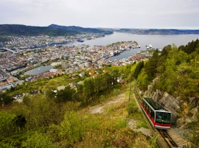Fløyen