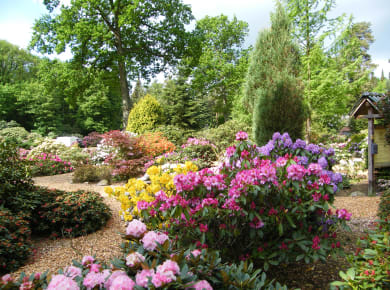 Rhododendronpark