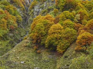Parco Nazionale della Val Grande