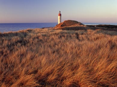 Anholt