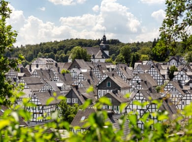 Freudenberg