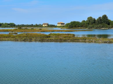 Grado, Lagune