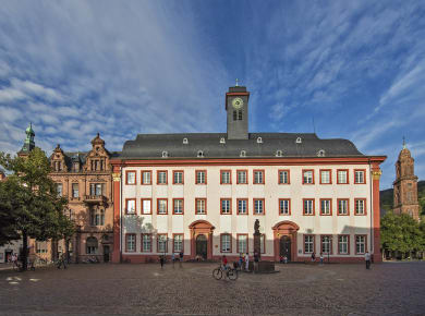 Heidelberg, Universität Heidelberg