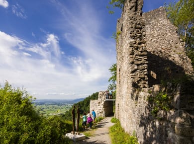 Burgruine Alt-Ems