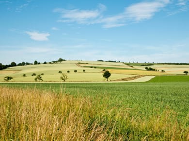 Holzminden, Naturpark Solling-Vogler