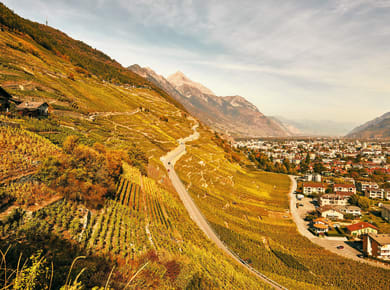 Martigny