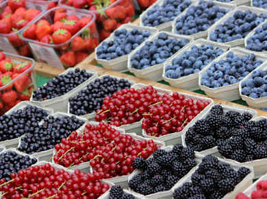 Stockholm, Saluhallen