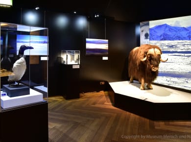 München, Museum Mensch und Natur