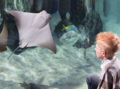 München, Sea Life