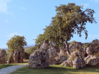 Nimfopetra