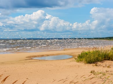 Peipussee