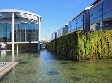 Reykjavík, Rathaus