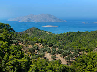 Embonas (Insel Rhodos)