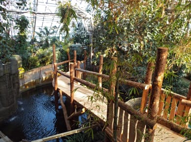 Swansea, Plantasia