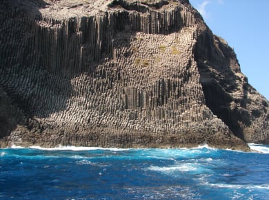 Vallehermoso, Los Órganos