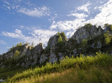Viechtach, Großer Pfahl