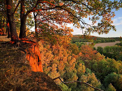 Witten, Muttental