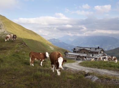 Kaltenbach, Zillertaler Höhenstraße