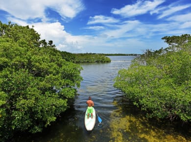 Key Largo, FL, John Pennekamp Coral Reef State Park