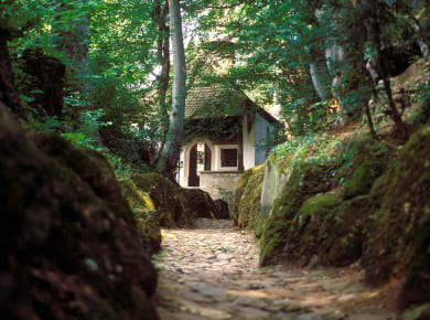 Küssnacht, Hohle Gasse