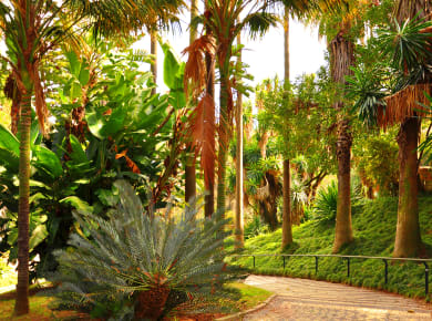 Lissabon, Jardim Botânico