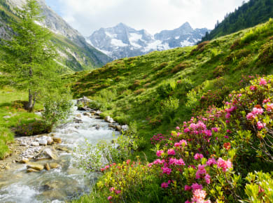 Mayrhofen, Zillertaler Gründe