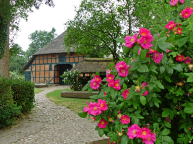 Rosengarten