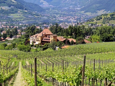 Meran-Obermais, Weingut Schloss Rametz
