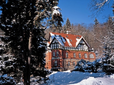 Miedzygorze