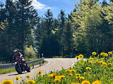 Kurvenjagd im Motorradrevier Nordschwarzwald - kürzere Alternative