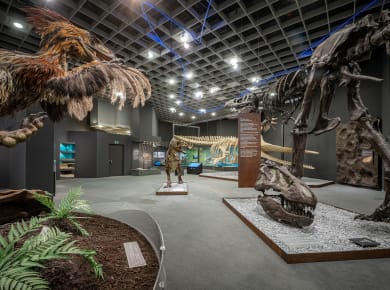 Münster, LWL-Museum für Naturkunde
