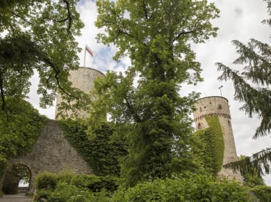 Nagold, Burgruine Hohennagold