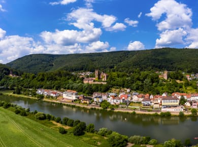 Neckarsteinach