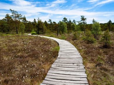 Oberelsbach, Naturpark Bayerische Rhön