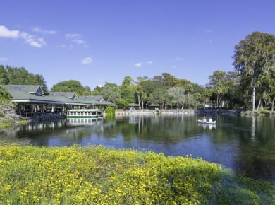 Ocala, FL, Silver River State Park