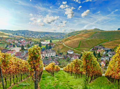 Ortenau, Durbach