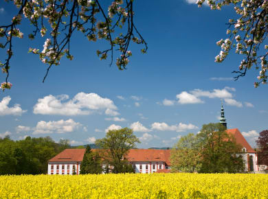 Kloster St. Marienstern