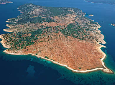 Insel Plavnik