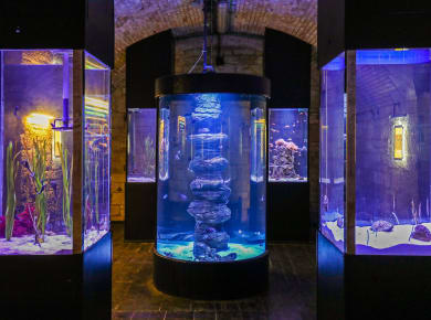 Pula, Aquarium