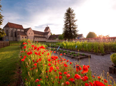 Reichenau, Münster St. Maria und Markus
