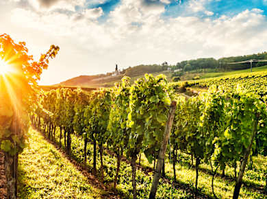 Rheingau