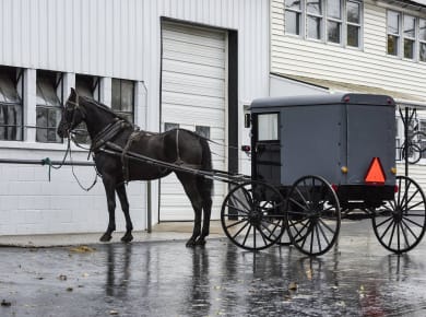 Ronks, PA, Amish Village