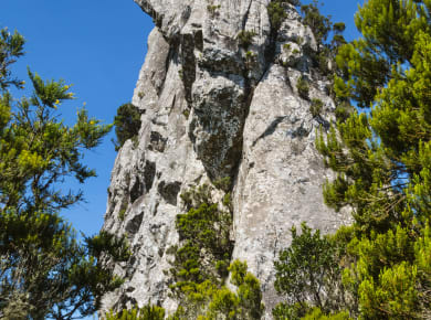 Roque de Anambro