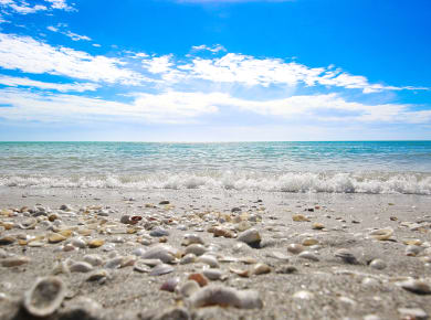 Sanibel, FL, Sanibel Island