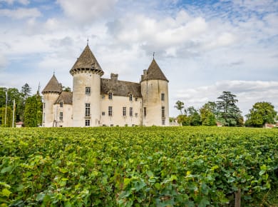 Savigny lès Beaune, Château de Savigny-lès-Beaune