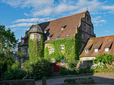 Schlitz, Hinterburg