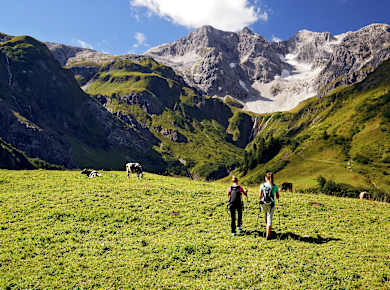 Schröcken, Steig zur Braunarlspitze